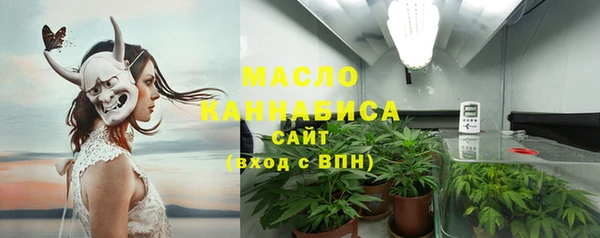 шишки Арсеньев